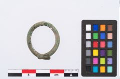 Foto von Bronzering (NHMW-PRAE-003423)